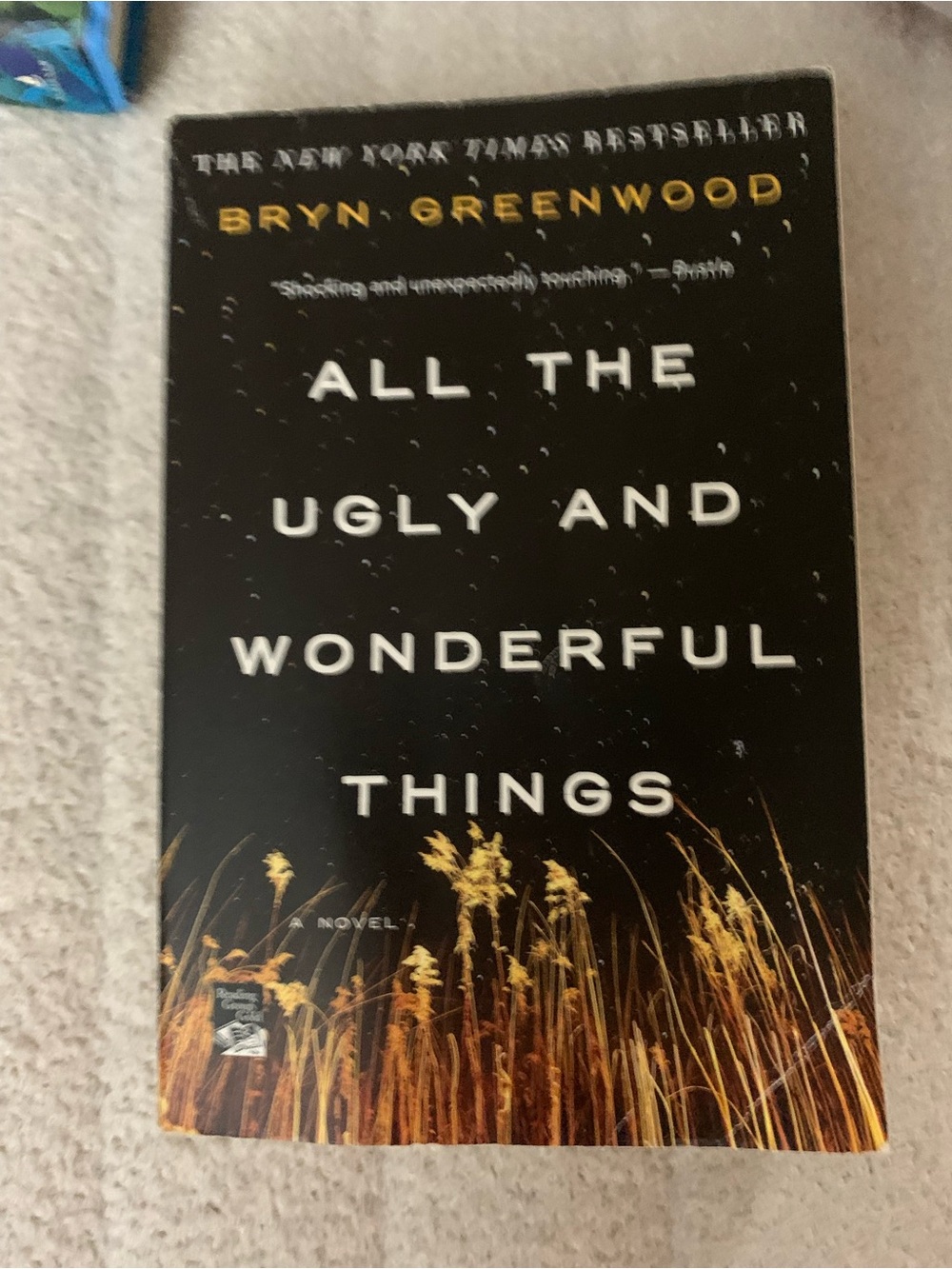 All the Ugly and Wonderful Things - Paperback- by Bryn Greenwood